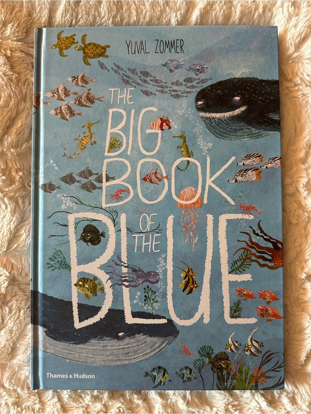 The Big Book of the Blue Kids Hardcover Book by Yuval Zommer